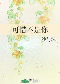 可惜不是你
